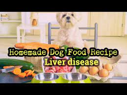 homemade dog food recipe for liver