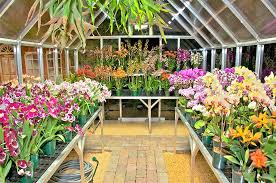 Orchid Greenhouse Climapod Greenhouse