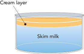 the chemistry of milk dairy