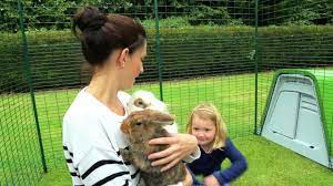 Eine stark konzentrierte lösung kann die kaninchen, haustiere oder kinder, die im garten spielen verletzen oder ihnen schmerzen zufügen. Outdoor Kaninchengehege Wie Halte Ich Kaninchen Sicher Im Garten Youtube