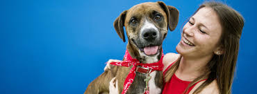 Browny is still waiting for people to open their doors and hearts to take him in. Pet Adoption Events Petsmart Charities