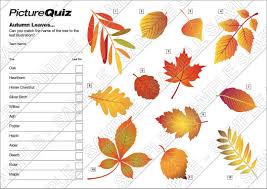 Among these were the spu. Autumn Quiz Printable Uk Quiz Questions And Answers