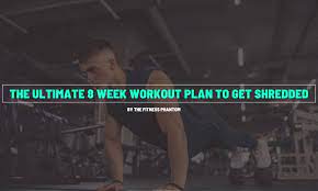 the best 8 week shred workout plan with pdf