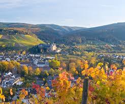 Was sind die zentralen themen? Wandern In Rheinland Pfalz Wanderkompass De