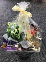 Plant And Chocolate Gift Hamper Deluxe