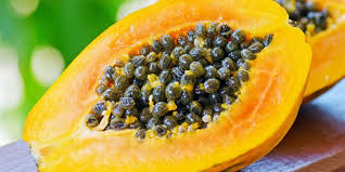Image result for pawpaw