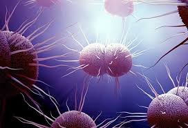 Syphilis is a tricky disease with four stages. 6 Gonorrhea In Women Symptoms Treatment Test Prevention