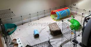 how to build an indoor bunny enclosure