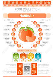 Food Infographics Poster Mandarin Fruit Vector Illustration