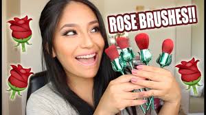 rose makeup face brushes storybook