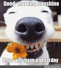 2.34 good morning beautiful i`m here for your smile. Meme Good Morning Sunshine Hope You Have A Great Day All Templates Meme Arsenal Com