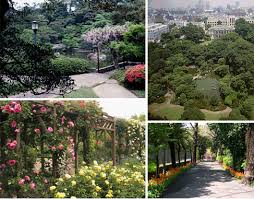 daiichi engei since1898 garden and