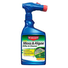 Moss And Algae