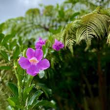 top 10 best botanical gardens in kailua