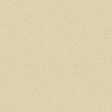 Flat Cream Stucco Paint Texture