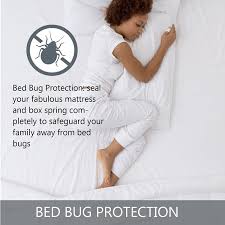 7 best bed bug mattress protectors in
