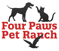 The role will center on the direct oversight and management of our existing clinics in the region and the planning. Four Paws Pet Ranch Pet Boarding Dog Daycare Grooming Training Santa Rosa Ca