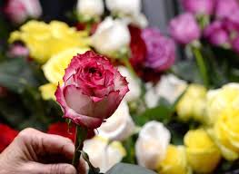 Maybe you would like to learn more about one of these? Erie Florists Geared For Their Busiest Day News Goerie Com Erie Pa