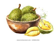Baner unik durian kocok / download contoh spanduk sop durian cdr keren karyaku : 230 Ide Durian Di 2021 Tutorial Kerajinan Flanel Papan Poster Poster Layout