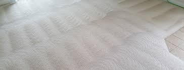 carpet cleaning welcome to dynamic