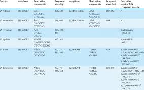 Summary Of Amplicon Restriction Enzyme Restriction Site