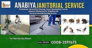 deep cleaning sofa carpet cleaning