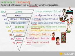 adverbs of frequency definition rules