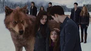 Twilight Forever The Complete Saga Puts All Five Films