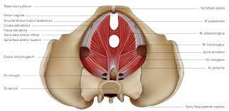 rehab for athletic issues you re in