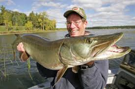 Muskie Length To Weight Conversion Chart