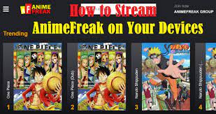 How to Stream AnimeFreak on Your Devices?
