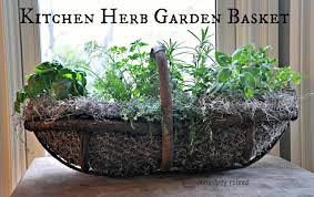 Herbs And Veggies In Repurposed Containers