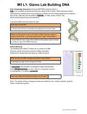 Student exploration building dna gizmo answer key pdf : Copy Of M5 L1 Gizmo Lab Building Dna Pdf M5 L1 Gizmo Lab Building Dna Prior Knowledge Questions U200b Do These Before Using The Gizmo Dna U200b Is An Course Hero