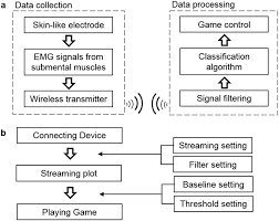 Data Acquisition System And Biofeedback Interface A Flow