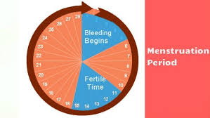 How To Calculate Safe Period To Avoid Pregnancy