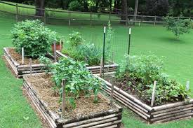 10 Tips On Vegetable Gardening For