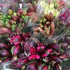 On this page, we have grouped all our bulk buy offers into one convenient place. Wholesale Flowers By Clowance