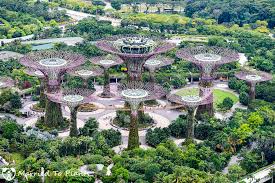 Tour Of Gardens By The Bay In Singapore