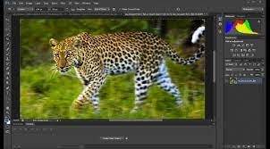 Adobe Photoshop serial key