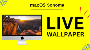 macos sonoma live wallpaper how to