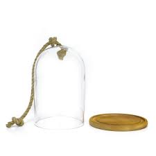 Glass Dome Cloche Bell Jar