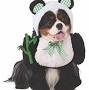 panda dog costume - Amazon.com