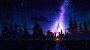 starry sky night forest scenery 4k