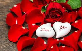 sweet heart flower romantic love