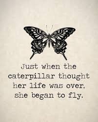 See more of catapillar equipment on facebook. 178 Exclusive Butterfly Quotes For Beautiful Change Bayart