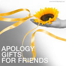 good apology gifts for friends best