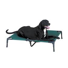 Raised Elevated Dog Bed Dark Green Tough Canvas Comfortable Pet Cot Choose Size Medium Up To 120 Lbs