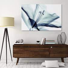 Amaryllis Frameless