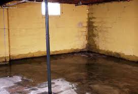 Why Is My Basement Wet In The Summer