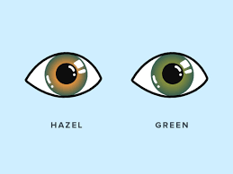 what color are hazel eyes warby parker